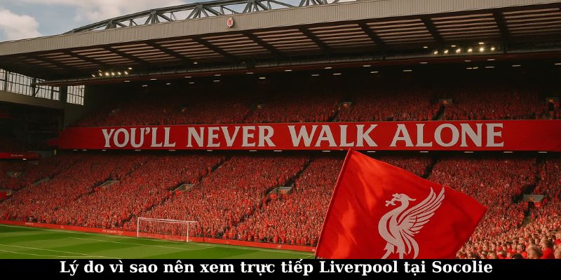 Lý do nên xem trực tiếp Liverpool tại Socolive