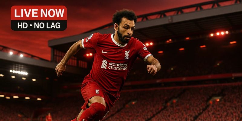 Link xem trực tiếp Liverpool mới nhất tại Socolive
