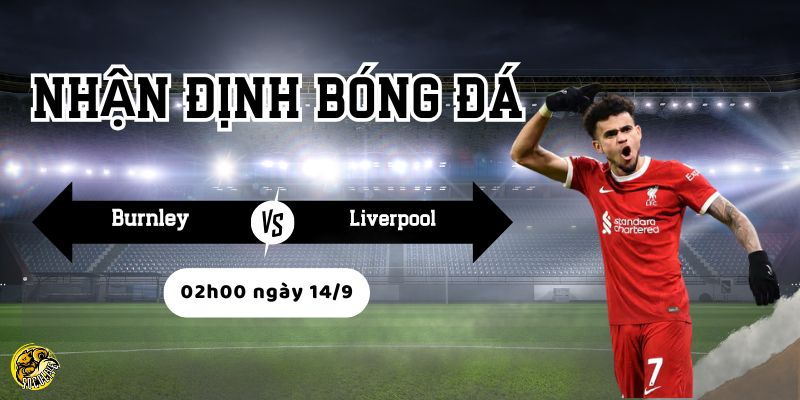 Liverpool – Sự ổn định và sức mạnh tấn công